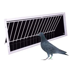 Porte de piège à pigeons et cages de piège à pigeons à vendre
