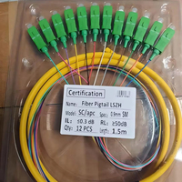Precio de fábrica Paquete de fibra óptica 12 Fibra 12 piezas Fibra Pigtail LSZH 0,9mm SM 1,5 m FTTH G652D Fibra Optica Pigtails