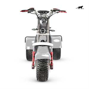 Tricycle électrique et solaire à écran LCD de 60V, 10 pouces, <span class=keywords><strong>125cc</strong></span>, moto à <span class=keywords><strong>3</strong></span> <span class=keywords><strong>roues</strong></span>, <span class=keywords><strong>scooter</strong></span> à <span class=keywords><strong>3</strong></span> <span class=keywords><strong>roues</strong></span>, 2000W, vente à chaud - Product Image 3