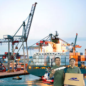 Hızlı teslimat profesyonel hava deniz ekspres Shopify nakliye ajan nakliye abd fransa almanya İtalya sipariş yerine otomatik - Product Image 3