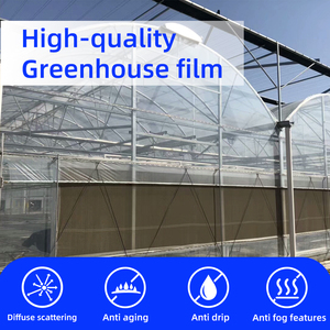 Nhà Màu Xanh Lá Cây Bao Gồm Phim Polyethylene, Chống Nhỏ Giọt 160 Micron Nông Nghiệp Nursery Tấm, <span class=keywords><strong>UV</strong></span> Được Xử Lý Rộng 9.5M Phim Nhựa - Product Image 2