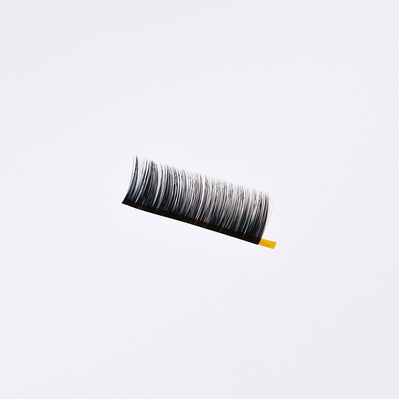 Gros Cils de Marque Privée Extensions De Faux Cils