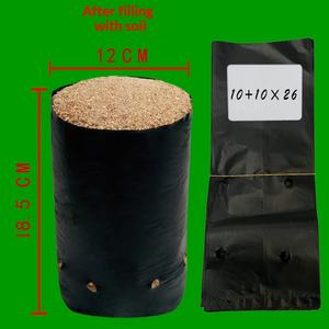 Bolsas de <span class=keywords><strong>vivero</strong></span> de tela no tejida de plástico blanco y negro para semillas de maracuyá y eucalipto, paquetes nutritivos para jardinería doméstica - Product Image 4