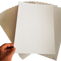 High-End Ningbo FBB Paper Board Ivory Foldable Board with Single Side Coating for Photo Frames Direct Factory Economical Price