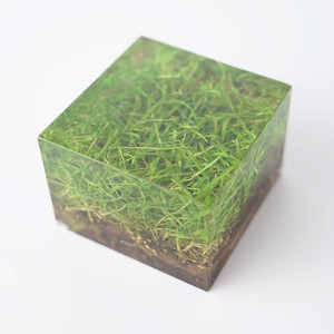 แจกันอะคริลิกเรซิ่นทรงสี่เหลี่ยมลายหญ้าสีเขียวธรรมชาติ ของตกแต่งงานฝีมือ สำหรับวันดินโลก - Product Image 1