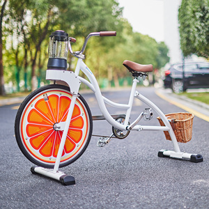 EXI Beach Cruiser Máy Ép Trái Cây Xe Đạp Máy Chế Biến - Product Image 3