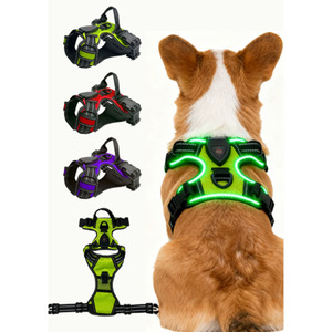 Arnés de Pecho para Mascotas con Luz LED Ajustable y Reflectante para Perros de Tamaño Mediano, Seguridad Nocturna - Product Image 2