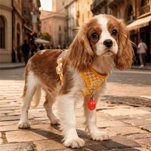 Ensemble Harnais et Laisse pour <span class=keywords><strong>Chien</strong></span> Motif Damier Rétro, Harnais Respirant en Maille pour Petits Chiens, Accessoires pour Chiens - Product Image 6