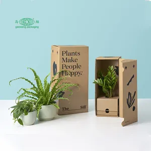 Cajas personalizadas de cartón corrugado para manualidades, cajas de papel para plantas de regalo