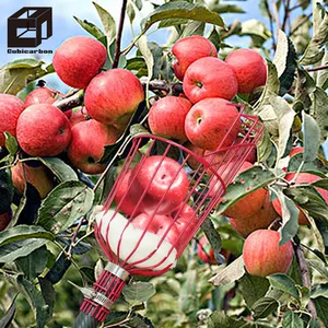 Portable Carbon fiber pole fabricante preço por atacado extensível carbono telescópico pólos para a colheita do fruto da maçã