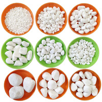 Pierres de pas de jardin en pierre naturelle de cailloux de roche de rivière blanche pure Offre Spéciale pour une utilisation en extérieur