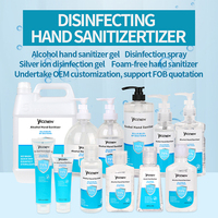 Usine professionnelle prenant en charge les commandes de fabrication OEM et ODM sur mesure, gel nettoyant pour les mains sans eau en flacon pompe de 500 ml