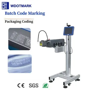 Máquina de Marcado Láser CO2 en Línea Wdotmark 30W/40W/60W, Suministro de Fábrica para Fecha de Lote y Código QR en Cajas, Botellas de PE y Otros - Product Image 1