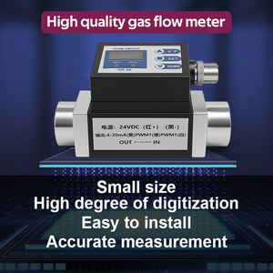 高精度デジタルNTCマイクロ可変領域窒素熱空気質量流量計ステンレス鋼プラスチック油流量計 - Product Image 3
