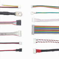 Custom Jst Xh 2.54mm Cable Harness 2/3/4 Pin konektor 10-way Female Pa66 kawat (2.5mm Pitch) untuk Drone elektronik