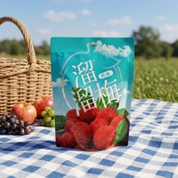 Op maat gemaakte bedrukte voedselverpakkingen van plastic, staande verpakkingen voor gedroogd fruit en snacks