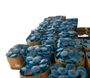 ONOSI ONS-SI03 Purificatore Solare per Piscine Esterne, Ionizzatore a Ioni di Rame e Argento, Filtro <span class=keywords><strong>Acqua</strong></span> 100 GPD, Facile Installazione, 1 Anno di Garanzia - Product Image 1