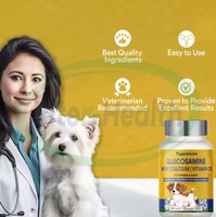 Ausreson OEM Animal Glucosamine Comprimés pour Chiens Chats 60 Comprimés avec Msm Calcium & Vitamine D3 Articulations Supplément Santé Osseuse