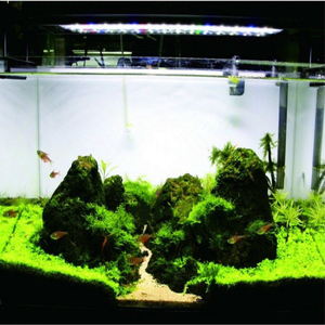Éclairage LED <span class=keywords><strong>pour</strong></span> <span class=keywords><strong>aquarium</strong></span>, éclairage <span class=keywords><strong>pour</strong></span> <span class=keywords><strong>aquarium</strong></span> avec supports extensibles, blanc et bleu, spectre complet, lampe de forêt tropicale - Product Image 2