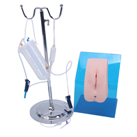 Modelo de entrenamiento médico para mujer, simulador de cateterización, enfermería