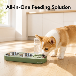 Ensemble de mangeoires pour animaux de compagnie en acier inoxydable avec bouteille d'eau, bol pour nourriture, station d'alimentation pour chiens et chats, utilisation en intérieur - Product Image 1