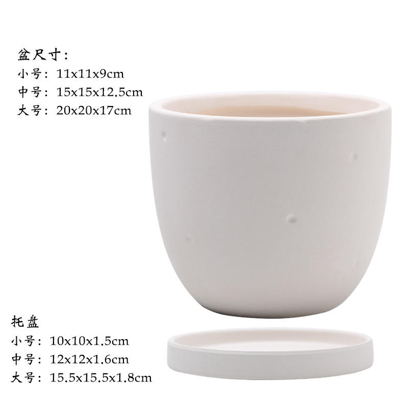 Round spots in the embryo