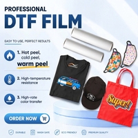 Film DTF à décoller à chaud pour l'impression personnalisée de t-shirts