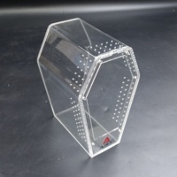 Coffret cercueil magnétique en acrylique de qualité supérieure ART Jumping Spider Tarentula Cage Reptile Terrarium