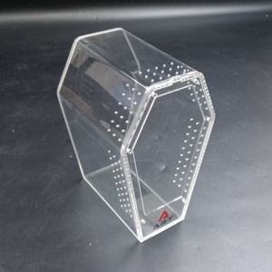 Coffret cercueil magnétique en acrylique de qualité supérieure ART Jumping Spider Tarentula Cage Reptile Terrarium - Product Image 6