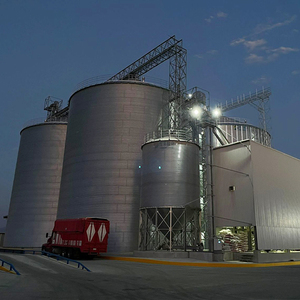 Silo à grain en acier à fond plat <span class=keywords><strong>Shelley</strong></span> Husbandry pour le riz - Product Image 1