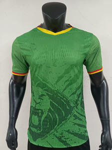 Jersey sepak bola 24/25 kaus khusus pemain sepak bola versi Polyester Cameroon Jersey sepak bola - Product Image 2