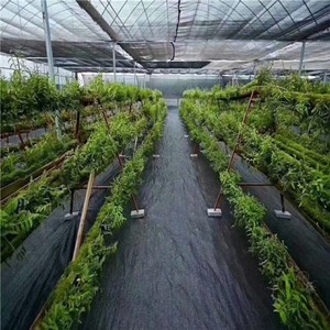 Toile paysagère anti-mauvaises herbes, tapis de contrôle des adventices, membrane anti-herbe, toile paysagère noire pour jardin - Product Image 3