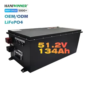 Personalizzato 72V 48V 36V 24V 200Ah 150Ah 100Ah Robot di pulizia carrello elevatore batteria Golf Lifepo4 batteria di conversione batteria al litio