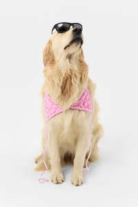 <span class=keywords><strong>Maillot</strong></span> <span class=keywords><strong>de</strong></span> <span class=keywords><strong>bain</strong></span> taille haute rose à bretelles halter, grande taille, <span class=keywords><strong>maillot</strong></span> <span class=keywords><strong>de</strong></span> <span class=keywords><strong>bain</strong></span>, tenue <span class=keywords><strong>de</strong></span> <span class=keywords><strong>bain</strong></span> - Product Image 6