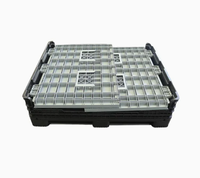 Palette en plastique pliable et empilable pour le transport de fruits, robuste et de qualité professionnelle, pour la logistique et le stockage alimentaire en gros.