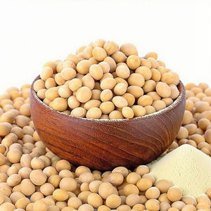 Longsheng Fábrica De Fornecimento Atacado 20KG SACO 90% Nível Emulsionado Isolado Proteína De Soja SPI para Bebidas - Product Image 1