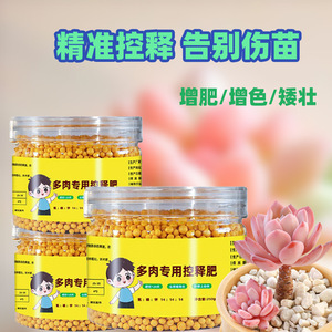 Succulent Controlled-release Fertilizer 250g Granular Long Lasting Plant Food - Product Image 3