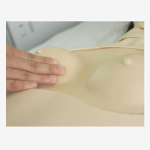 Mannequin de simulation infirmière multifonctionnel en PVC avancé pour la formation des infirmières et des enseignants en sciences médicales dans les écoles - Product Image 6