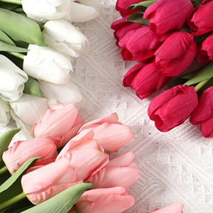 <span class=keywords><strong>Tulipani</strong></span> Artificiali Classici, Semplici ed Eleganti, Idratanti, per Decorazioni Floreali di Ville, Cortili, Giardini e Terrazze - Product Image 2