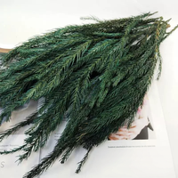 Kerstdecoratiemateriaal: Echte, natuurlijke, geconserveerde cipressen en natuurlijke dennen voor bruiloft- en huisdecoratie