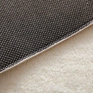 Modern Simple Cream Wind Carpet Living Room Easy Care Anti-Slip Pet Friendly Customizable Pattern Faux Cashmere Rug Wholesale - Product Image 2