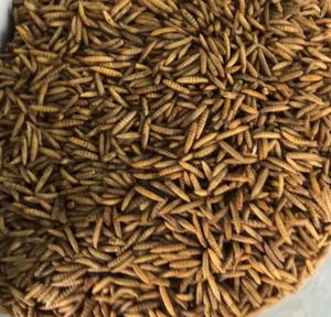 Prix bon marché des larves de mouches soldats noirs séchés alimentation des poulets alimentation des tortues alimentation des reptiles - Product Image 2