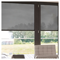 Persianas enrollables de doble motor, cortinas térmicas parasol para ventanas para hoteles, oficinas y salas de estar