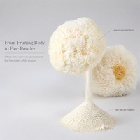 Tremella Fuciformis Extract, Sneeuwzwamextract, Witzwamextract voor huidverzorging, cosmetica, dranken en gezondheidsproducten