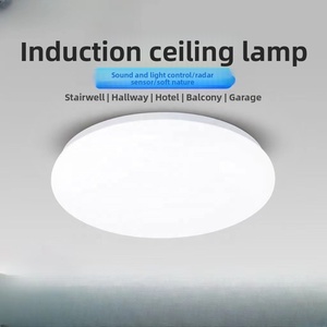 Điều khiển thông minh hiện đại nhựa <span class=keywords><strong>LED</strong></span> trần ánh sáng Radar hồng ngoại cơ thể con người bằng giọng nói Cảm biến ip33 đánh giá cho cầu thang chiếu sáng ban công - Product Image 2