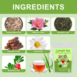 Soin naturel à base de plantes pour la santé lymphatique, sachets de thé pratiques, compléments de détoxification lymphatique - Product Image 4