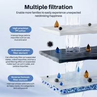Purificateur d'eau intelligent pour la maison, purificateur d'eau RO, machine d'osmose inverse sous l'évier pour usage domestique et hôtelier
