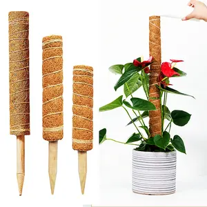 Bastão de musgo empilhável natural personalizado, comprimento 100%, acessórios de jardim, vara