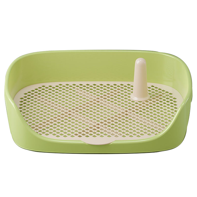 Avocado verde