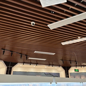 Trần nhôm vách ngăn hiện đại-Trần Kim Loại Chống Thấm và cách âm với thiết kế đục lỗ - Product Image 4